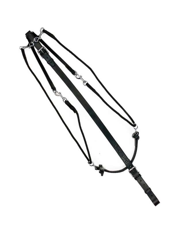 GOGUE PER CAVALLO