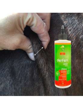 ANIMADERM DERFEN PER PRURITO E DERMATITE EQUINA-29708