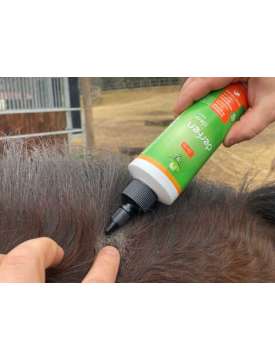ANIMADERM DERFEN PER PRURITO E DERMATITE EQUINA-29710
