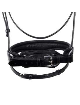TESTIERA INGLESE EQUESTRO CUOIO CON BRILLANTINI-29817
