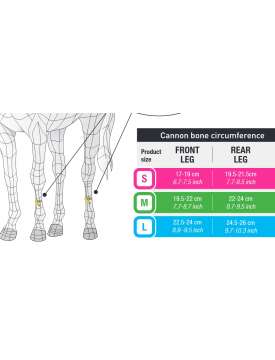 PRO JUMP ACTIVE VEREDUS PROTEZIONI PER CAVALLO-29865