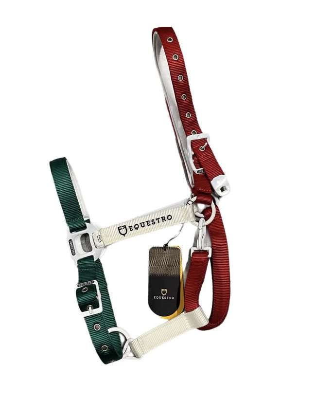 CAVEZZA EQUESTRO BANDIERA ITALIA