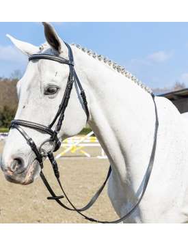 TESTIERA INGLESE CUOIO CLINCHER ARGENTO-30029