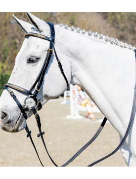 TESTIERA INGLESE CUOIO CLINCHER OTTONE-30031