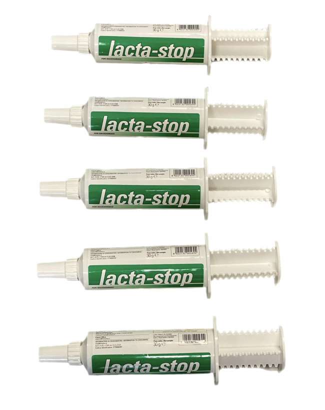 LACTA STOP ASSORBE ACIDO LATTICO DEL CAVALLO LACTA STOP ASSORBE ACIDO LATTICO DEL CAVALLO