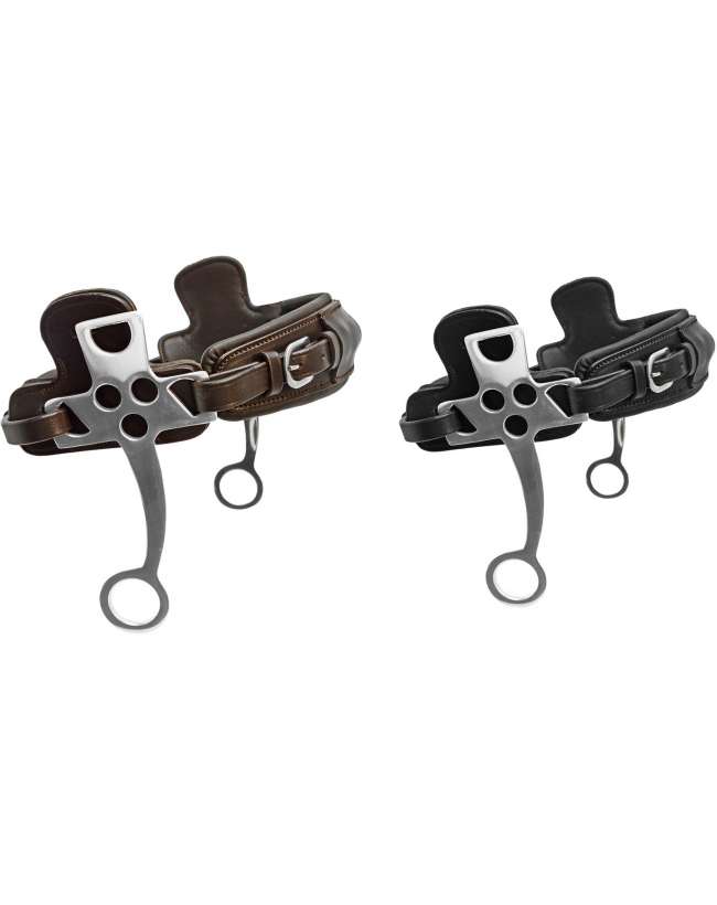 HACKAMORE INOX CON IMBOTTITURE SARTORE