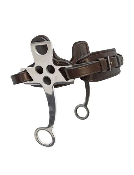 HACKAMORE ASTE CORTE CON IMBOTTITURE