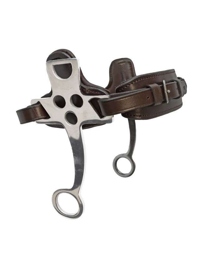 HACKAMORE ASTE CORTE CON IMBOTTITURE