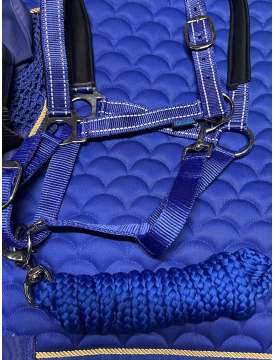 COMPLETO ROYAL PER IL CAVALLO-30922