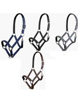CAVEZZA NYLON PER CAVALLI RIVESTITA IN NEOPRENE-31009