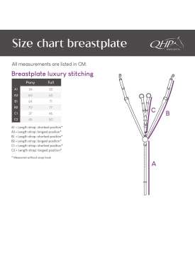 PETTORALE IN CUOIO FIBBIE INOX-31050