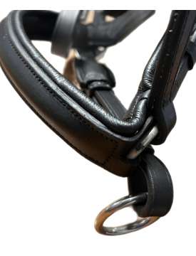 BRIGLIA WALDHAUSEN CON ANELLI LATERALI-31072