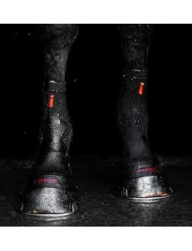 INCREDIWEAR EQUINE CALZE TERAPEUTICHE PER CAVALLI-31087