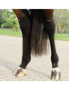 INCREDIWEAR EQUINE CALZE TERAPEUTICHE PER CAVALLI-31089