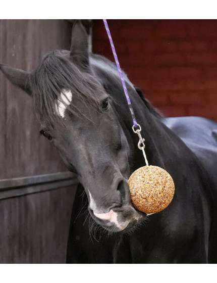 GRANOLA LIKIT GUSTO MELASSA SUPPORTO ALIMENTARE PER CAVALLI