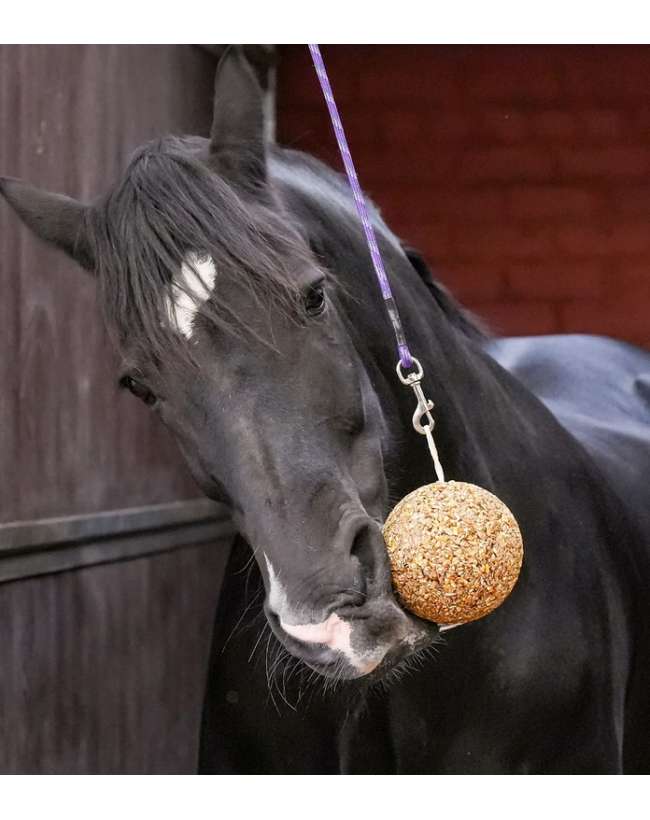 GRANOLA LIKIT GUSTO MELASSA SUPPORTO ALIMENTARE PER CAVALLI