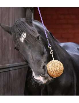 GRANOLA LIKIT GUSTO MELASSA SUPPORTO ALIMENTARE PER CAVALLI-31182