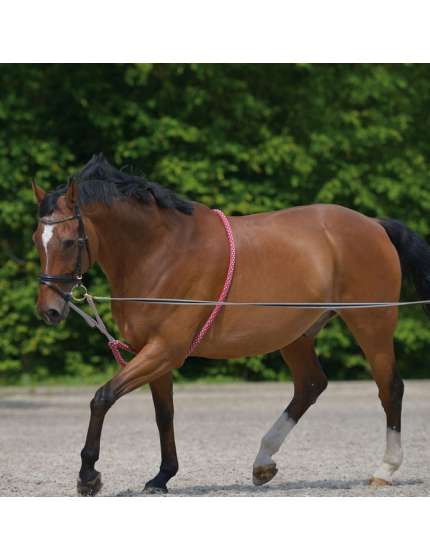 REDINI LUNGHE PER LAVORO DEL CAVALLO DA TERRA