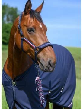 SET CAVEZZA E LUNGHINA TOMMY HILFIGER EQUESTRIAN YALE-31202