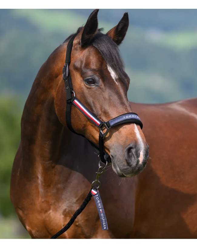 SET CAVEZZA E LUNGHINA TOMMY HILFIGER EQUESTRIAN YALE