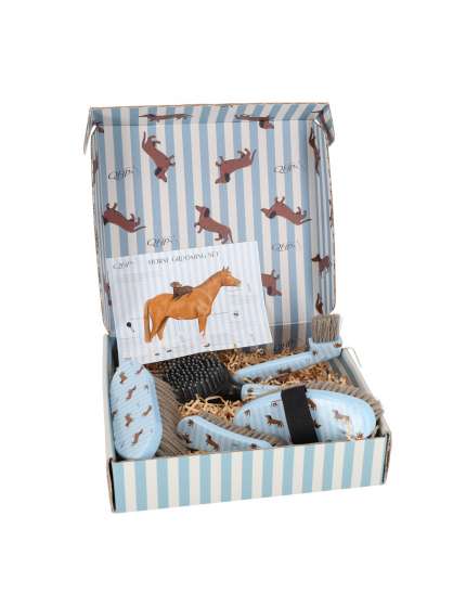 GROOMING SET STABLE BUDDY