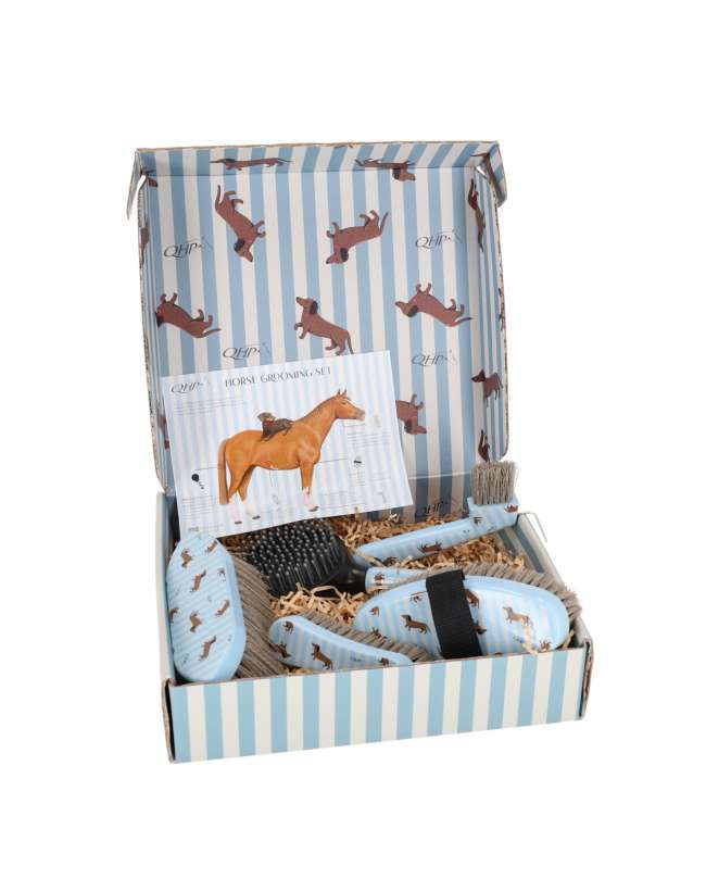 GROOMING SET STABLE BUDDY