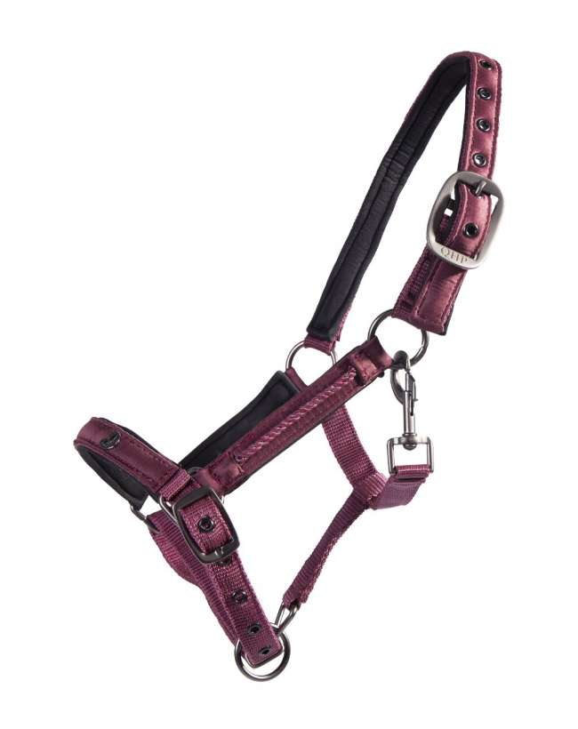 CAVEZZA FOAL LILY IN NYLON DECORATO