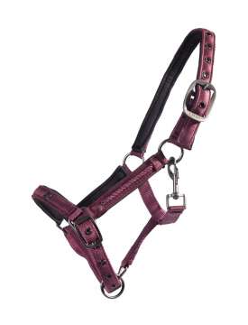 CAVEZZA FOAL LILY IN NYLON DECORATO-31601