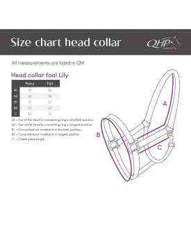 CAVEZZA FOAL LILY IN NYLON DECORATO-31603