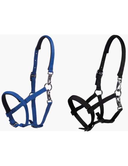 CAVEZZA PER FOAL IN NYLON RIVESTITO NEOPRENE
