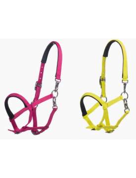 CAVEZZA PER FOAL IN NYLON RIVESTITO NEOPRENE-31710