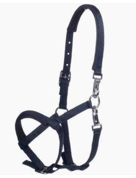 CAVEZZA PER FOAL IN NYLON RIVESTITO NEOPRENE-31711