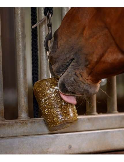 BLOCCO DA LECCARE PER CAVALLO
