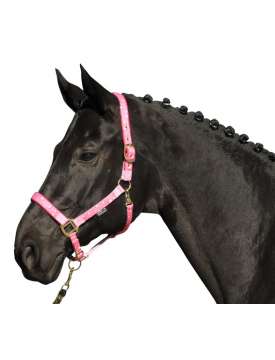 CAVEZZA DA CAVALLO EXTRA FULL-351