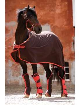 COPERTA IN PILE E MICROFIBRA HORSEWARE-3699