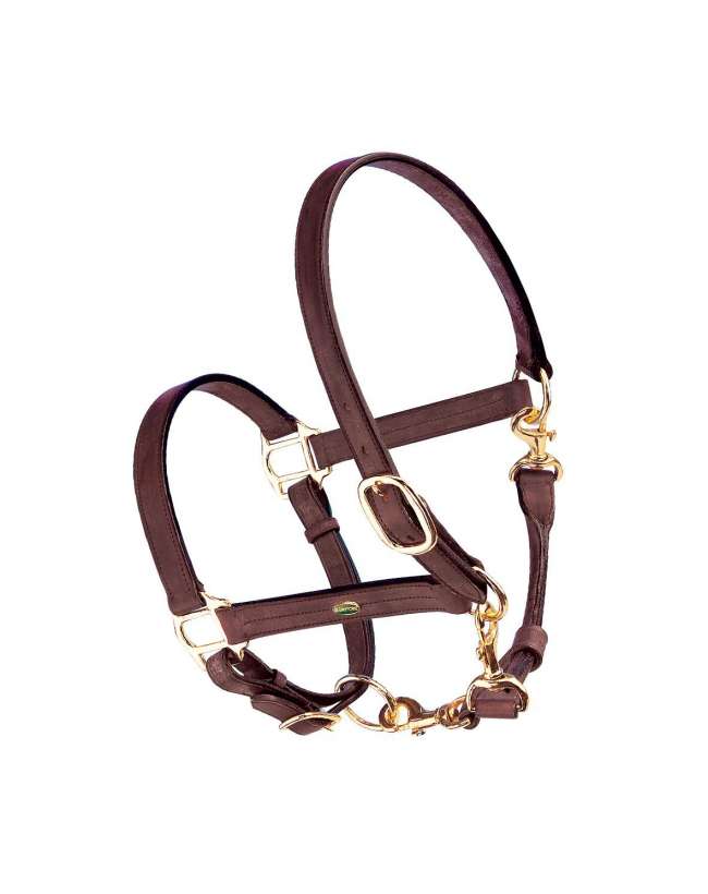 CAVEZZA IN CUOIO FIBBIE OTTONE