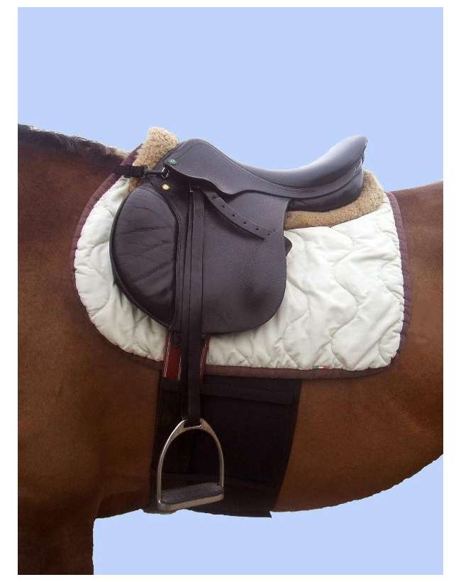FASCIA DI RISPETTO LOVE HORSES ORIGINALE