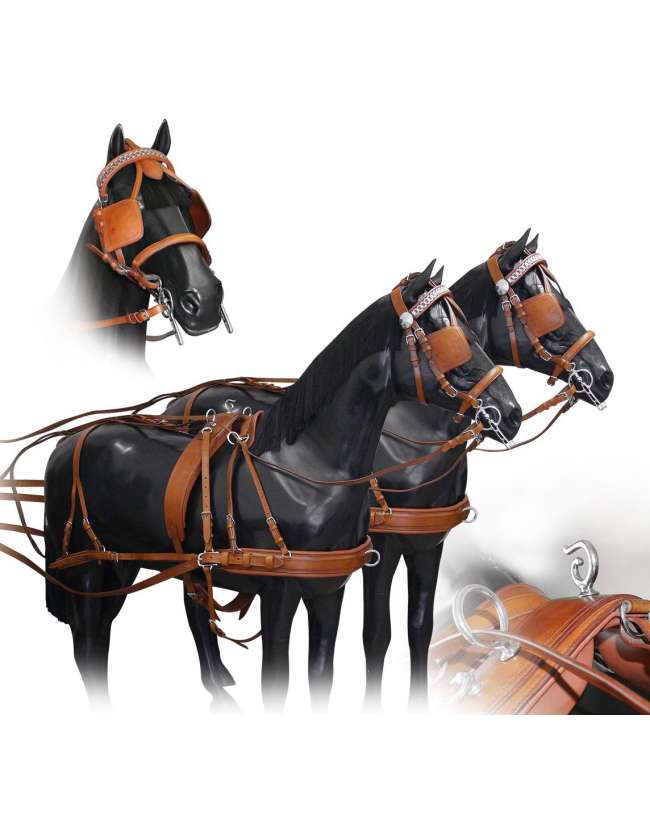 FINIMENTO DA CARROZZA DOPPIO