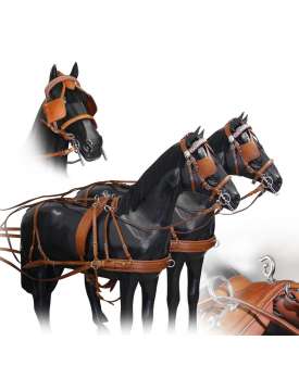 FINIMENTO DA CARROZZA DOPPIO-6123