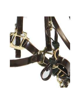 BRIGLIA CAVEZZA IN BIOTHANE ORIGINALE-6272