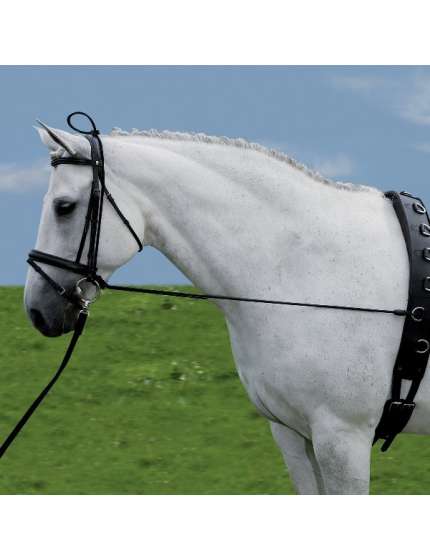 REDINI ELASTICHE PER CAVALLO