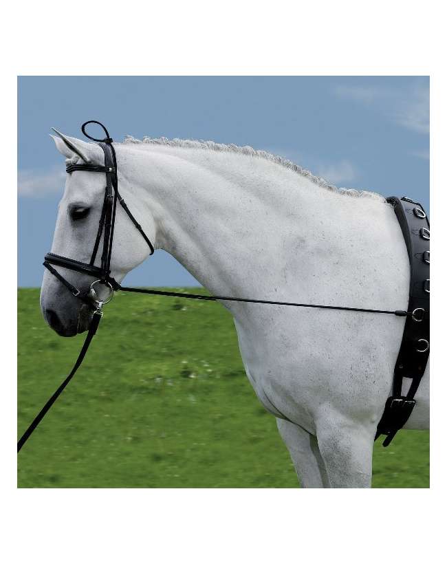REDINI ELASTICHE PER CAVALLO