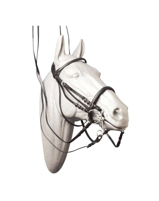 BRIGLIA DRESSAGE ECONOMICA PER CAVALLI
