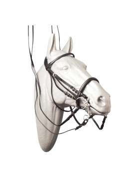 BRIGLIA DA DRESSAGE ECONOMICA CUOIO-6521