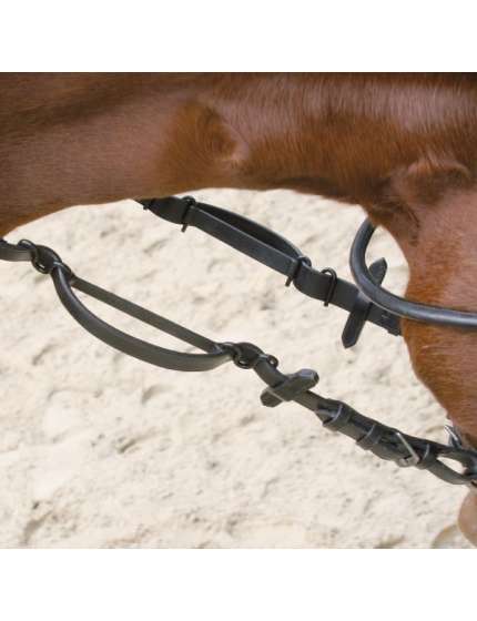 REDINI AUSILIARIE PER CAVALLO