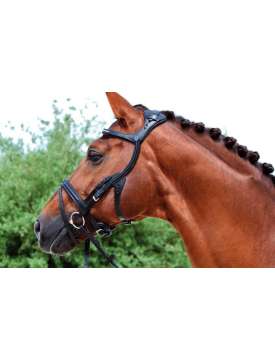 BRIGLIA STUBBEN FREEDOM-7114