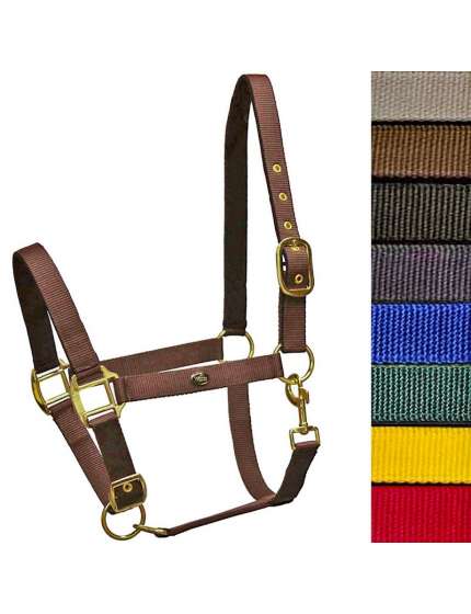 CAVEZZA PER CAVALLI IN NYLON
