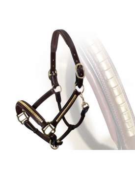 CAVEZZA IN CUOIO INGLESE CLINCHER OTTONE-7481