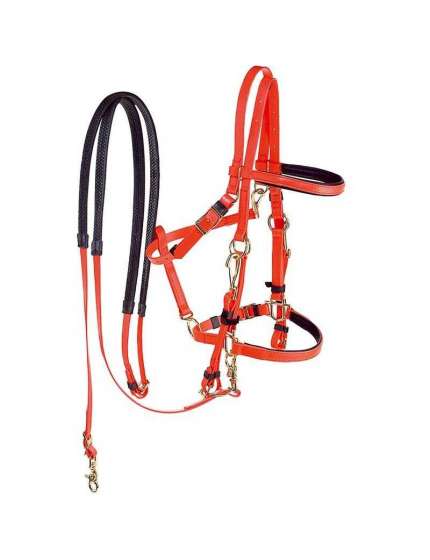 BRIGLIA CAVEZZA DA TREKKING IN PVC CON REDINI INCLUSE