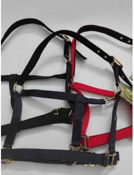 CAVEZZA IN NYLON FIBBIE OTTONE PER CAVALLI-8867
